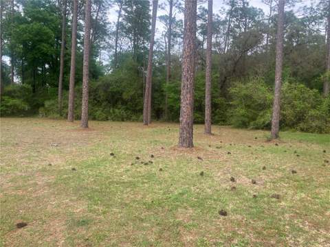 SE 19th Place SE 19th Place, Silver Springs FL - photo 6 of 6