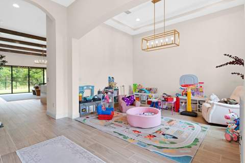 14544 Swiss Bridge Drive, Lithia FL - photo 9 of 55