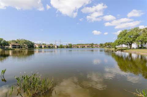 207 Cypress Lane, Oldsmar FL - photo 21 of 25
