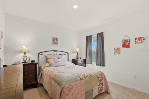 33428 Country House Drive, Sorrento FL - photo 18 of 23