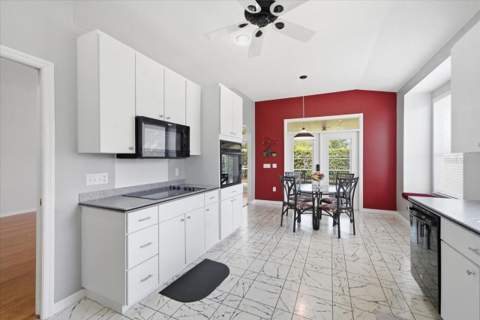 4628 Corsage Drive, Lutz FL - photo 10 of 35