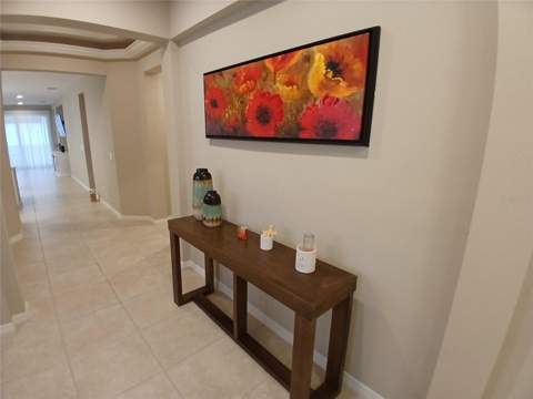 29900 Walsh Oak Drive, Wesley Chapel FL - photo 10 of 87