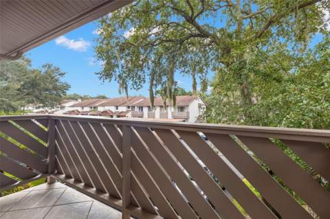 631 Fairmont Avenue #C, Safety Harbor FL - photo 18 of 28