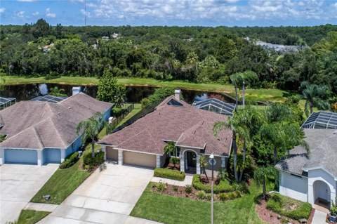 10116 Bennington Drive, Tampa FL - photo 6 of 75
