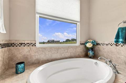 16705 Hilltop Horizons Place, Dade City FL - photo 21 of 53