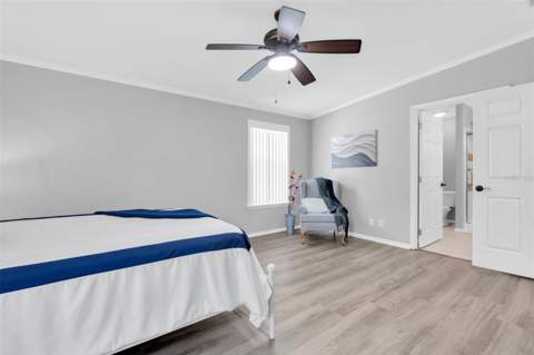 508 Washington Avenue, Oldsmar FL - photo 23 of 50
