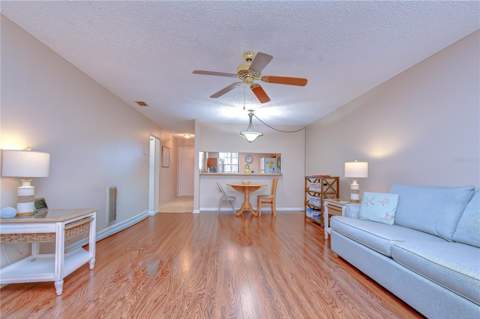 38235 Boxwood Drive #38235, Zephyrhills FL - photo 12 of 45