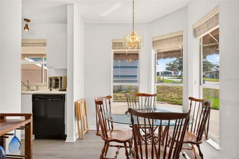 1207 Palmetto Drive, The Villages FL - photo 12 of 71