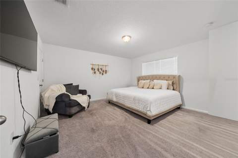 2149 Treasure Hill Street, Minneola FL - photo 19 of 48