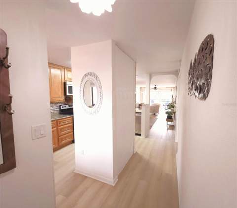 106 1st Street #215, St Petersburg FL - photo 17 of 48