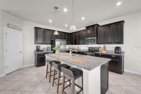 4347 Silver Creek Street, Kissimmee FL - photo 10 of 47