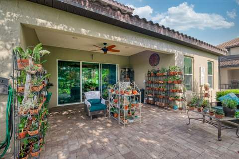 1651 Amsel Falls Park Terrace, Winter Garden FL - photo 22 of 31