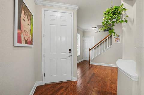 441 Harbor Ridge Drive, Palm Harbor FL - photo 11 of 51