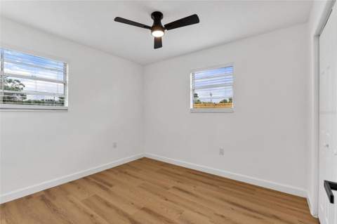 8204 Allamanda Avenue, Tampa FL - photo 17 of 28