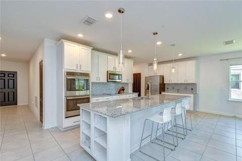 8325 Olive Brook Drive, Wesley Chapel FL - photo 10 of 39