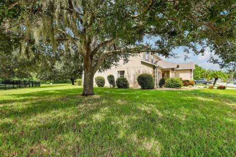 5903 Cape Loop, Land O Lakes FL - photo 6 of 6
