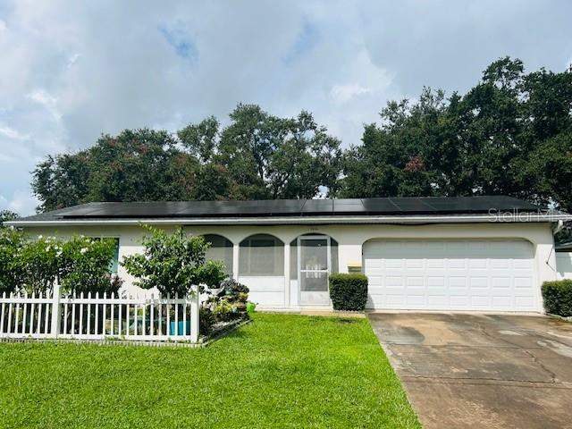 Meadow Lawn Pinellas