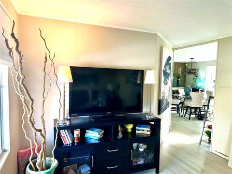 2409 Vindale Road, Tavares FL - photo 11 of 53