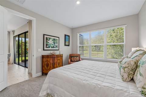 4333 Cairoli Court, Wesley Chapel FL - photo 11 of 99