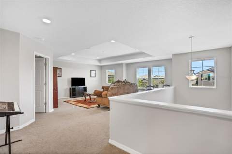 3091 Marine Grass Drive, Wimauma FL - photo 23 of 62