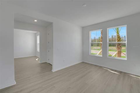 17417 Valleywood Parkway, Land O Lakes FL - photo 9 of 55