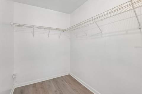 3808 N Whittier Street, Tampa FL - photo 17 of 31