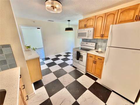 3530 51st Avenue, St Petersburg FL - photo 6 of 6