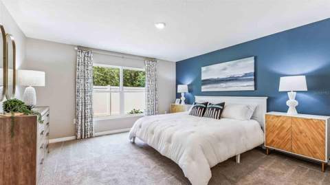 9854 Brave Buck Avenue, Land O Lakes FL - photo 12 of 15
