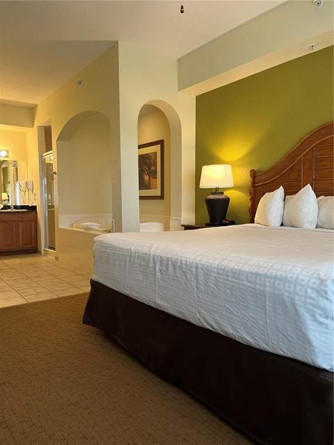 8101 Resort Village Drive #3909, Orlando FL - photo 12 of 41