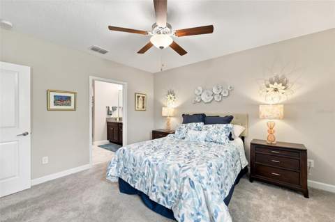 5305 Stoic Vale Drive, Wimauma FL - photo 7 of 68