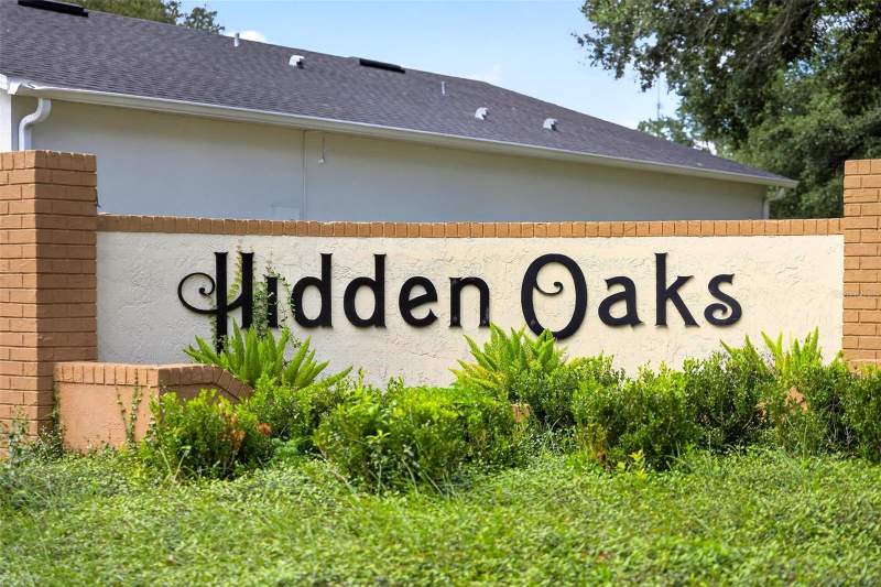 3 bedroom Single Family Residence at 211 Hanging Moss Lane, Lady Lake Hidden Oaks Sub, Lady Lake — photo 3