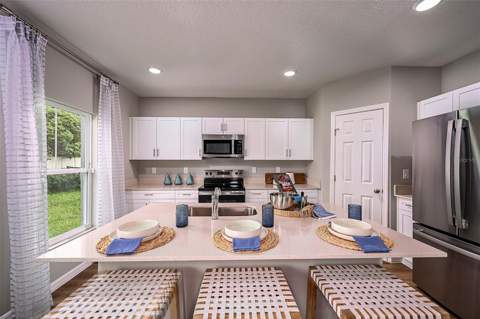 31731 Oyster Trellis Lane, Wesley Chapel FL - photo 10 of 24