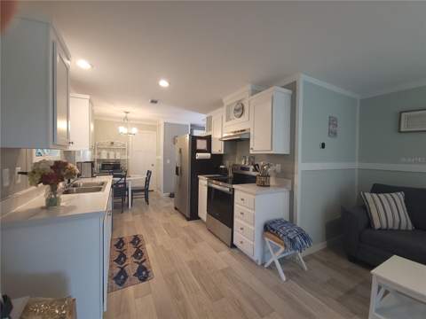 3531 SE 173rd Terrace, Ocklawaha FL - photo 11 of 30