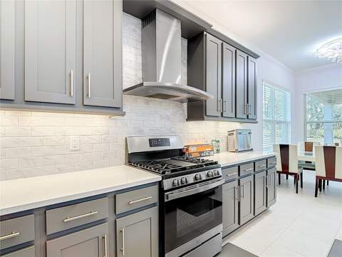 32676 Tree Of Life Avenue, Wesley Chapel FL - photo 19 of 47