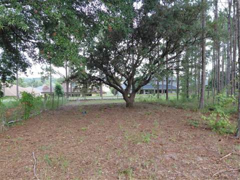 14240 Lost Lake Road, Clermont FL - photo 12 of 47
