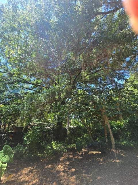 15176 NE 154th Lane, Fort Mc Coy FL - photo 23 of 33
