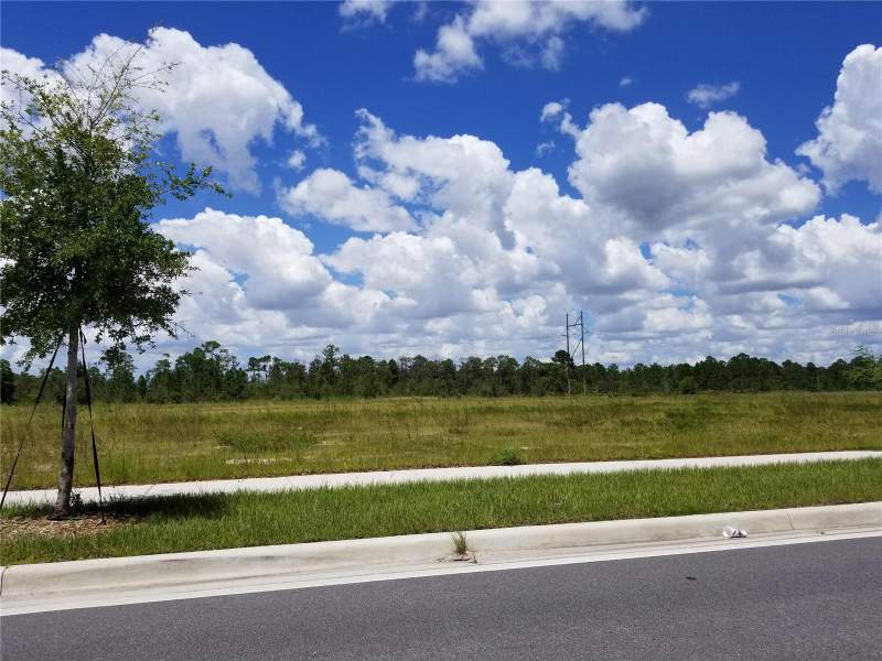 S APOPKA VINELAND ROAD home for sale in Mckoy Land Co