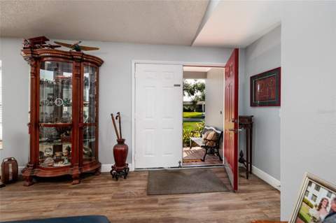 23208 Sierra Road, Land O Lakes FL - photo 10 of 69