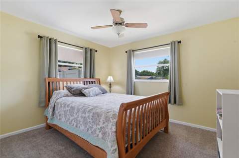 1634 Dale Circle, Dunedin FL - photo 23 of 30