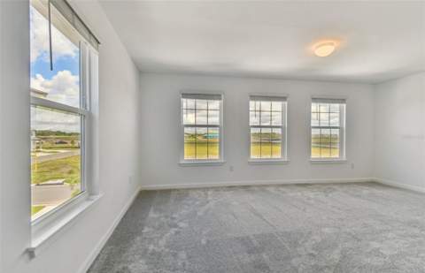 10206 Cross River Trail, Parrish FL - photo 14 of 29