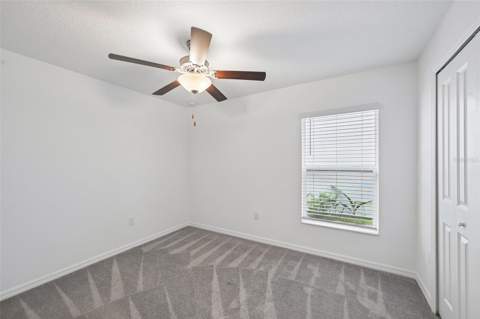 5517 Blue Azure Drive, Wimauma FL - photo 21 of 43