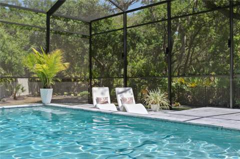 7865 Marsh Pointe Drive, Tampa FL - photo 23 of 61