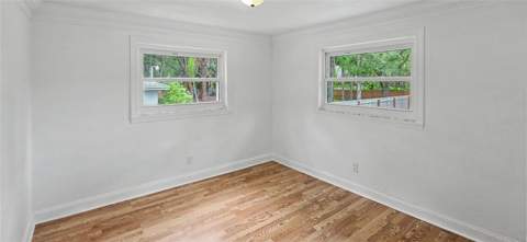 3087 Duane Avenue, Oldsmar FL - photo 15 of 30