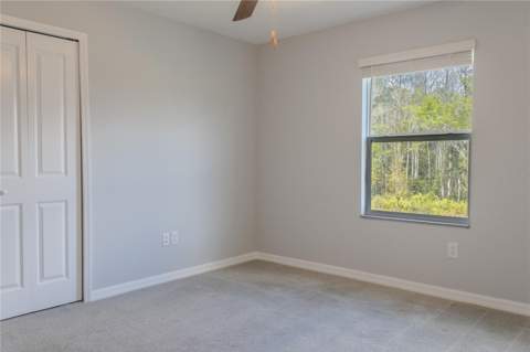 17711 Nectar Flume Drive, Land O Lakes FL - photo 11 of 33