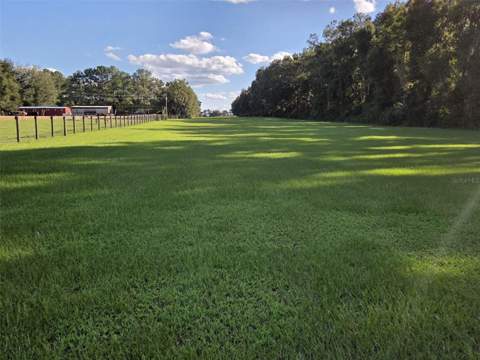 950 W Highway 316, Citra FL - photo 12 of 24