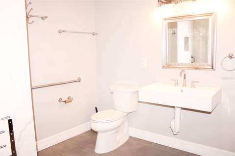 1338 Blackwater Pond Drive, Orlando FL - photo 10 of 22
