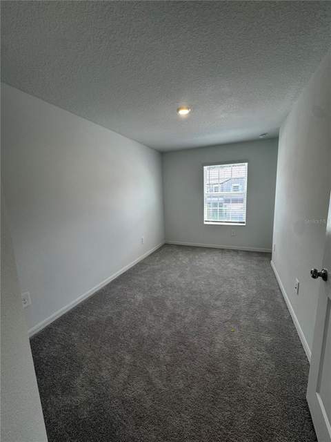 10149 Trumpet Honeysuckle Way, San Antonio FL - photo 11 of 33