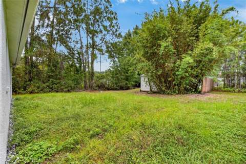 27526 Green Willow Run, Wesley Chapel FL - photo 6 of 6
