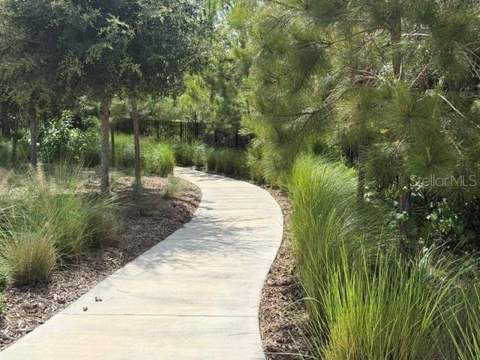 9760 Minnow Ray Drive, Land O Lakes FL - photo 22 of 31