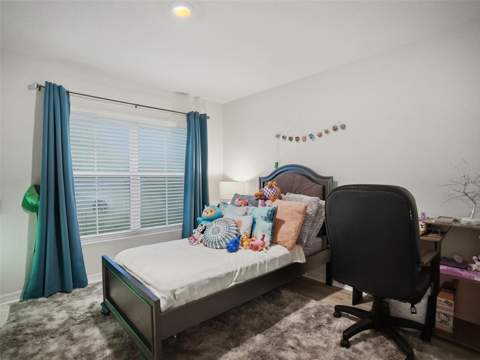 3392 Autumn Amber Drive, Spring Hill FL - photo 20 of 44